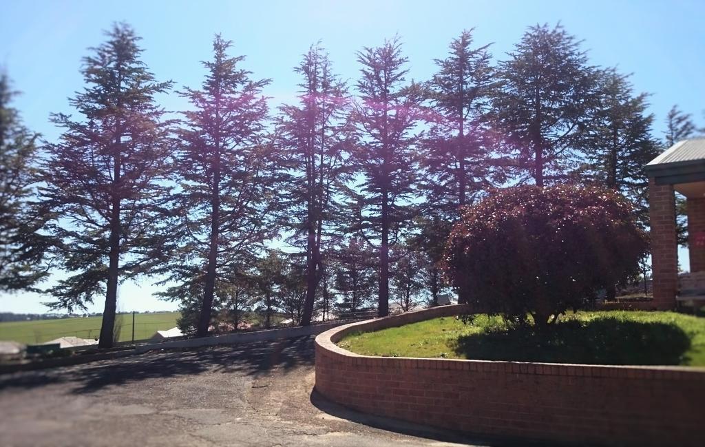 Bathurst Gold Panner Exterior foto